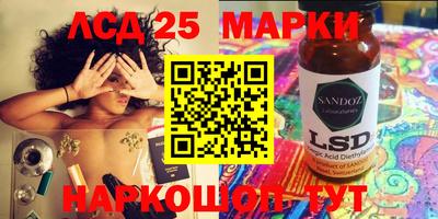 амф Камышлов