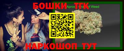 амф Камышлов