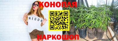 СК Кандалакша