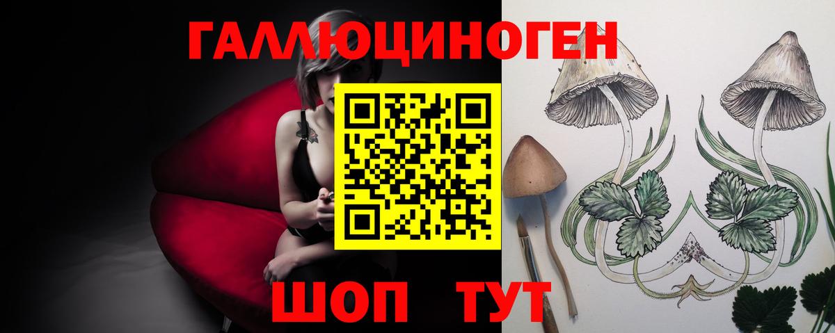 Курган  Псилоцибиновые грибы прущие грибы  Вход с VPN  Галлюциногенные грибы MAGIC MUSHROOMS 